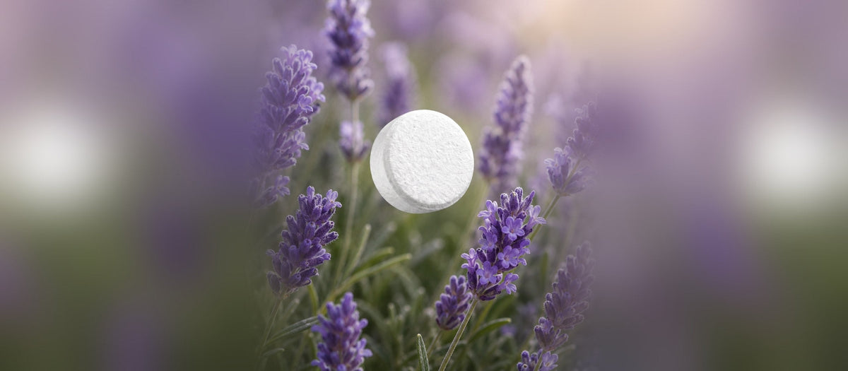 North Swan refill-tablet mellem lavendel