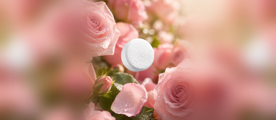 North Swan refill-tablet mellem lyserøde roser
